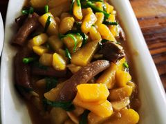 -鸿运美食府