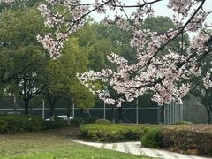 -南京财经大学(仙林校区)