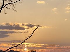 -汉长安城未央宫国家考古遗址公园