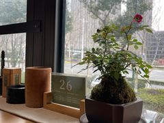 -竹里馆 ·茶食(奥体店)