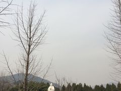 -万佛园景区