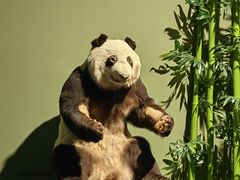 -深圳博物馆历史民俗馆