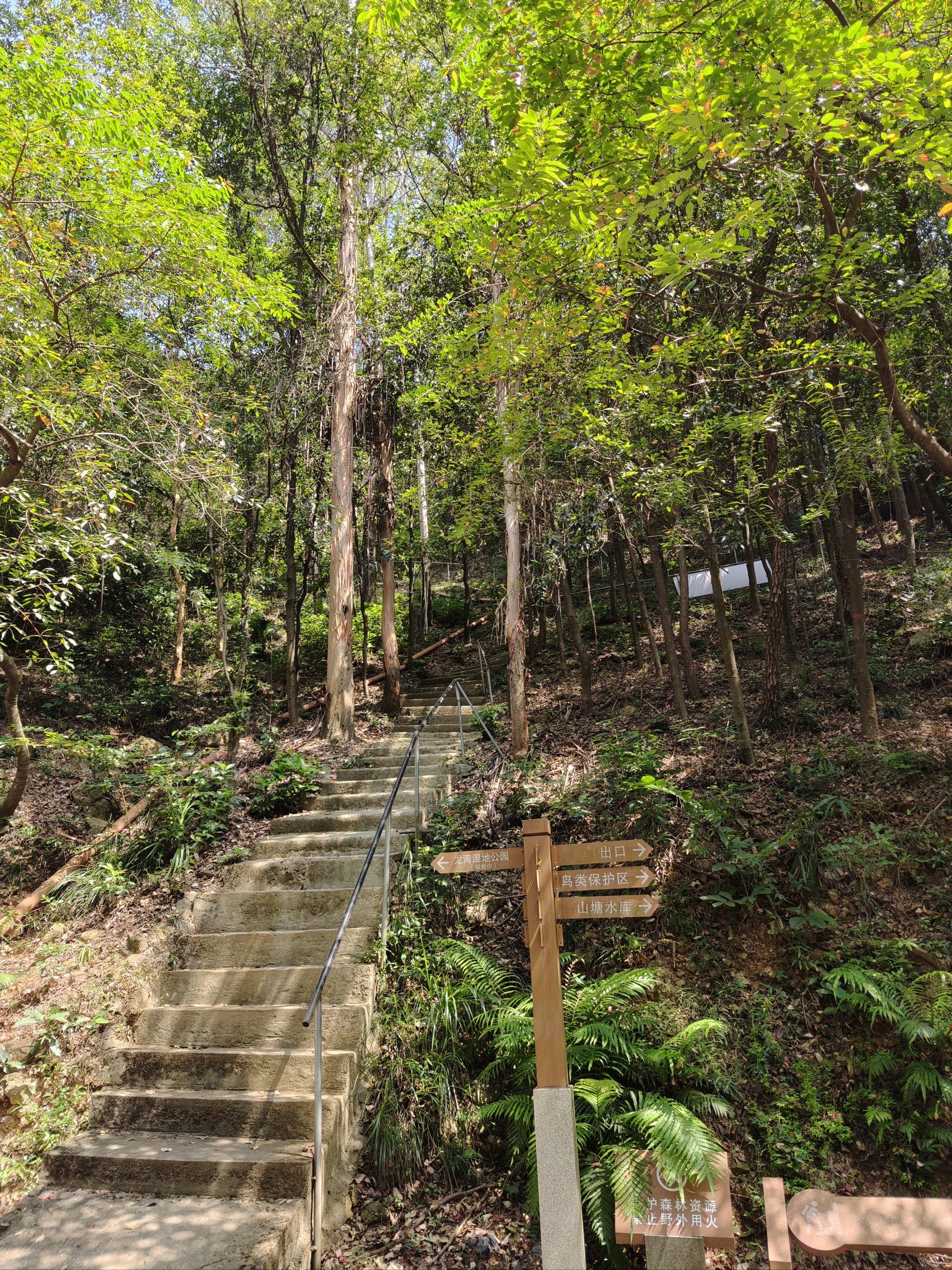 0元玩转这座城🌳 **番禺滴水岩森林公园爬山游记** 🌳

