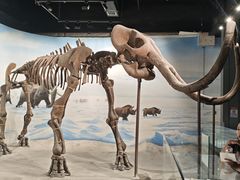-辽宁古生物博物馆