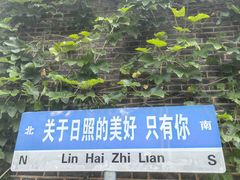 -日照海滨国家森林公园