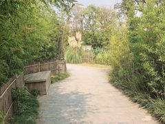 -田园东方蜜桃村的田野营地