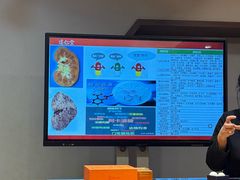 -乐山乌木文化博览苑