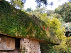 -青芝山风景名胜区