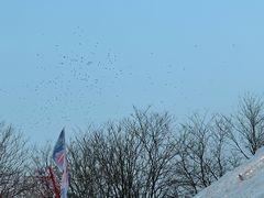 -沈阳奥体冰雪嘉年华