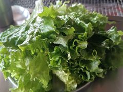 生菜-小马扎地摊烤肉