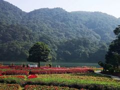 -广州市石门国家森林公园