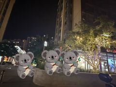 -中粮·祥云小镇