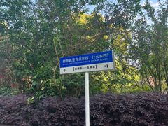 -五凤溪古镇