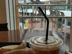 -1868 Café(上海自然博物馆店)