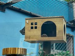 -青藏高原野生动物园