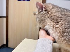 -宠颐生宠物医院外科·内科·皮肤科·影像科(石龙店)