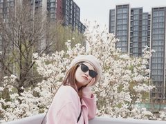 -安定门(地铁站)