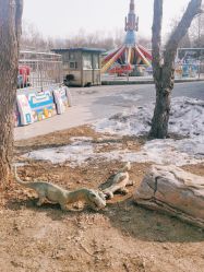 -大望京儿童游乐场