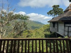 -三亚亚龙湾人间天堂鸟巢度假村