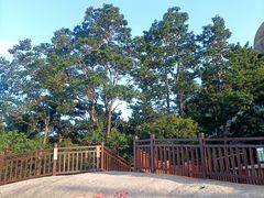 -崂山仰口游览区