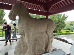 -茂陵博物馆