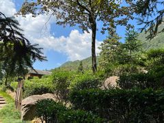 -姑婆山旅游区