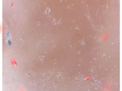 -胡仁根胡记炸炸炸