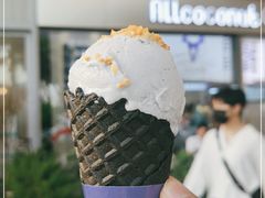 -蔻蔻椰·鲜萃椰子水(欢乐港湾店)