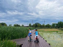 -永定河休闲森林公园