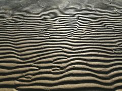 -青岛第一海水浴场