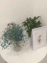 -紫御国际抗衰ZOE ANTI AGING