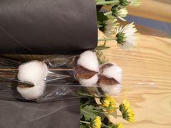 -三圣花乡旅游区