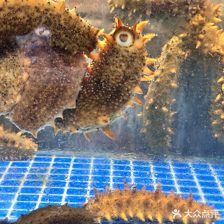 爱吃海鲜的都来了吗[呲牙]