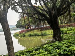 -顺峰山公园