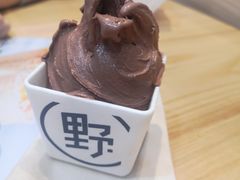 -野人先生现做冰淇淋(北京环宇荟店)
