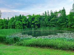 -艾溪湖湿地公园