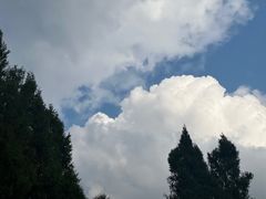 -蜀门客栈(剑门关景区店)