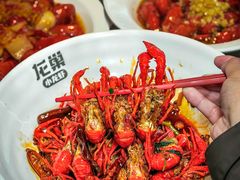 -龙巢盱眙龙虾·牛蛙·烧烤宵夜(八卦岭店)