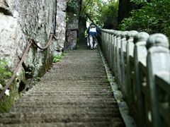 -天目山大树王景区