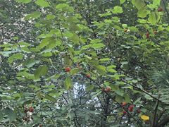 -唐山抗震纪念馆