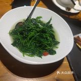 我的探店美食合集 