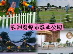 -长洲岛