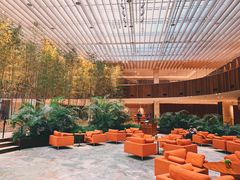 大堂-北京望京凯悦酒店The Lounge大堂酒廊