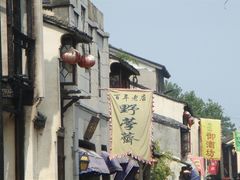 -野荸荠