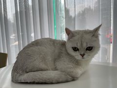 -美美宠物诊疗中心·异宠·骨科(滨江东信分院)