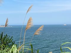 -东极岛景区-东海第一哨灯塔