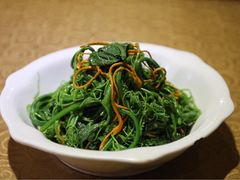 虫草花拌丝瓜苗-德缘烤鸭店(大栅栏店)