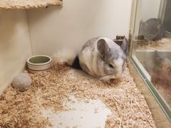 -龙猫仔乐园(惠福东路店)