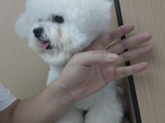 -瑞派康怡24h宠物医院·犬猫医疗中心·微创绝育(瑞景分院)
