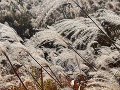 -济南国际园博园